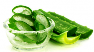 जरूरत से ज्यादा एलोवेरा ना करें इस्तेमाल वरना हो सकता है भारी नुकसान