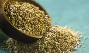 अजवाइन से दूर करें सिर की जुएं, कई अन्य बीमारियों में भी ऐसे करती है फायदा