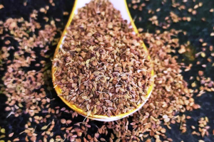 एक चम्मच अजवायन यूरिक एसिड को जल्द कर देगा कंट्रोल, जानें इस्तेमाल करने का समय और सही तरीका