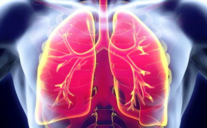 Tips For Healthy Lungs: फेफड़ों को रखना है हेल्दी, तो इन 5 चीजों से बनाएं दूरी