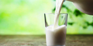 Foods For Health: हेल्दी रहने और कई बीमारियों को दूर भगाने के लिए डाइट में शामिल करें ये 5 शानदार फूड्स