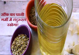 ennel Seeds Water Benefits:वज़न कंट्रोल करने के साथ ही गर्मी में कई बीमारियों का उपचार करता है सौंफ का पानी