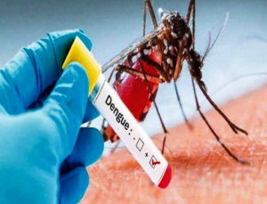 National Dengue Day 2021: डेंगू से बचाव के लिए फॉलो करें ये आसान टिप्स