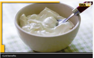 Dahi khane ke Fayde: क्या आप जानते हैं दही से घटती है चर्बी लेकिन इसे खाने का सही समय और तरीका भी जान लें
