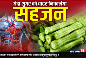 कमाल की चीज है सहजन, खून से गंदा शुगर को बाहर निकालता है, स्किन में भी लाता है निखार