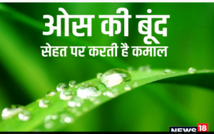 ओस की बूंदें आंखों से लेकर स्किन को रखती हैं हेल्दी, जानें इसके अन्य सेहत लाभ