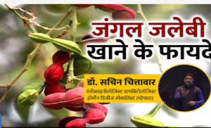 5 फायदों के लिए जरूर करें जंगल जलेबी का सेवन, एक्सपर्ट ने कहा, डायबिटीज रोगियों के लिए भी है बेस्ट