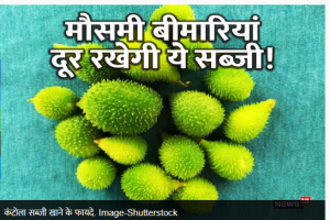 बारिश के दिनों में मिलने वाली यह सब्जी ताकत से है भरपूर! मौसमी बीमारियां रखती है दूर, मिलते हैं गजब के फायदे