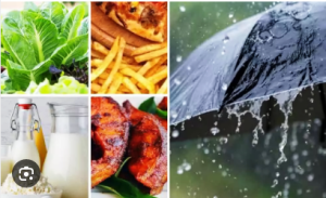 बारिश के मौसम में अपनाएं आयुर्वेद का डाइट प्लान, शरीर रहेगा हेल्दी और फिट, बीमारियां आसपास भी नहीं भटकेंगी