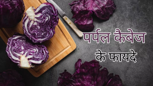 पोषक तत्वों का भंडार है Purple Cabbage, इन 7 फायदों की वजह से जरूर बनाएं डाइट का हिस्सा