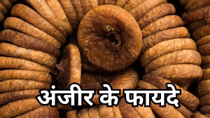 Benefits of Anjeer: वजन घटाने में बेहद कारगर है अंजीर, जानें इसके अन्य गजब के फायदे