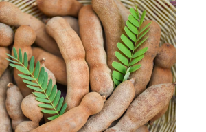 चटपटी इमली में अमृत समान करामाती गुण, डायबिटीज, कोलेस्‍ट्रॉल ही नहीं, कैंसर से भी करती है बचाव, जानें 5 कमाल के फायदे