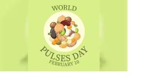 World Pulses Day 2024: बस एक कटोरी दाल से मिलेंगे ढेर सारे फायदे, इन दालों को कर लें डाइट में शामिल