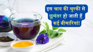 वेट लॉस से लेकर इम्यून सिस्टम को मजबूत करने तक, इस चाय की हर घूंट में छिपा है सेहत का खजाना