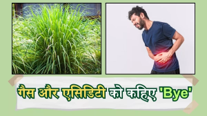 Lemongrass Benefits: खट्टी डकार और एसिडिटी से हैं परेशान, तो इससे राहत दिलाने में मदद करेगी लेनमग्रास