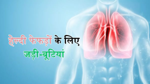 Respiratory Health: नहीं चाहते बदलते मौसम में हो खांसी-जुकाम के शिकार, तो ये आयुर्वेदिक जड़ी-बूटियां हैं मददगार