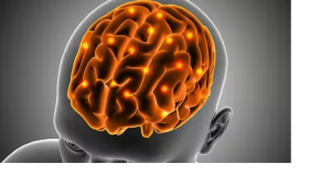 क्या होता है जब दिमाग की नसें फट जाती हैं? जानें इसके लक्षण और कारण