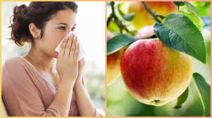 सर्दी-खांसी में कौन सा फल खाएं? जानें 5 Immunity booster fruits