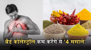 High Cholesterol बने हार्ट के लिए परेशानी, इससे पहले खानपान में बढ़ा लीजिए इन '4 मसालों' से नजदीकी