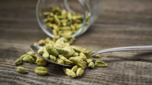 Cardamom Benefits: छोटी-सी इलायची में छिपा है सेहत का खजाना, कैविटीज से लेकर डायबीटिज से हो सकता है बचाव