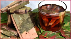 अर्जुन की छाल कौन-कौन सी बीमारी में काम आती है? जानें कब पिएं और कितना पिएं