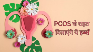 PCOS की समस्या में राहत पहुंचाती हैं ये जड़ी-बूटियां, आज ही डाइट में शामिल कर पाएं जल्द आराम