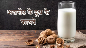 Walnut Milk Benefits: याददाश्त हो गई है कमजोर, तो पीएं अखरोट का दूध, दिमाग के साथ दिल भी रहेगा हेल्दी