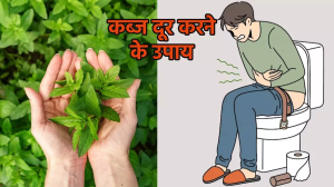 इन पत्तियों को चबाने से पा सकते हैं कब्ज की समस्या से काफी हद तक राहत