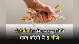 डाइट में इन चीजों को शामिल करने से छूट सकती है Smoking की लत, भूल जाएंगे कहां रखी है आपकी बीड़ी-सिगरेट!