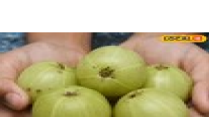 आंवला खाने के हैं चमत्कारी फायदे, डायबिटीज से लेकर पाचन तंत्र के लिए रामबाण