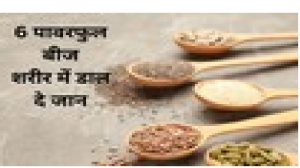 इन 6 बीजों में है पोषक तत्वों का भंडार, हड्डियों को बनाए चट्टान, डाइजेशन करे बूस्ट, 1 सप्ताह खाते ही कमजोर शरीर में भर जाएगी ताकत
