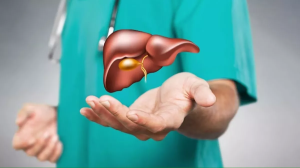 लीवर को हेल्दी बनाए रखने के लिए इन चीज़ों को अपनी डाइट में करें शामिल, कोना-कोना होगा डिटॉक्स