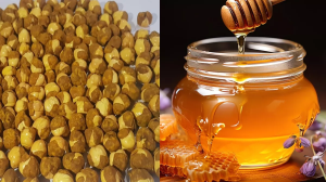 भुने चने के साथ मिलाकर खाएं शहद, शरीर को मिलेंगे जबरदस्त फायदे, मोटापा भी होगा कम