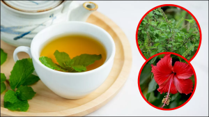 घर में इन पत्तों से बनाएं फ्रेश टी, मार्केट में मिलने वाली ग्रीन टी से होगी ज्यादा टेस्टी और फायदेमंद