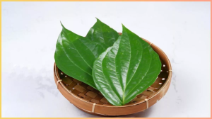 बर्फ की तरह पेट को कर देगा ठंडा! पाचन तंत्र के लिए बेहद फायदेमंद है ये पत्ता