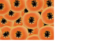 पेट साफ करने में रामबाण है यह फल, कोने-कोने में जमी गंदगी करेगा क्लीन स्वीप, पेट का बोझ होगा हल्का