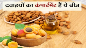 जिस फल के बीज को कचरा समझकर देते हैं फेक उससे बनती है जान बचाने वाली दवा, स्किन, हार्ट जैसी बीमारियों के लिए काल