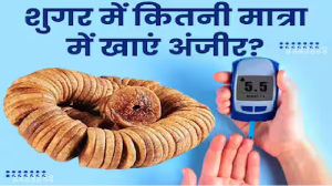 शुगर में अंजीर का सेवन कैसे और कितनी मात्रा में करें? जानिए डायबिटीज में Fig खाने का सही तरीका