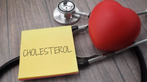 High Cholesterol कम करने में मदद करेंगे ये 6 सुपर फूड्स, आज से ही कर लें अपनी डाइट में शामिल