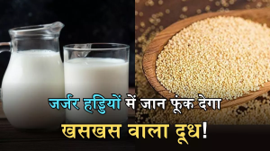 Poppy Seeds: हड्डियां होंगी मजबूत, पाचन होगा दुरुस्त! बस रात को सोने से पहले दूध में मिलाकर पी लीजिए ये एक चीज