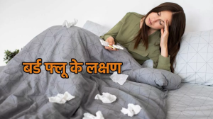 वियतनाम में H5N1 Bird Flu से पहली बार गई किसी व्यक्ति की जान, जानें क्या है यह संक्रमण और इसके लक्षण