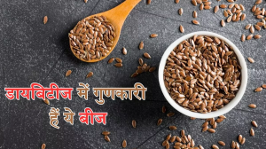 शरीर में बढ़ते Blood Sugar पर लगाम लगाते हैं ये सीड्स, Diabetes के मरीज आज ही बनाएं डाइट का हिस्सा