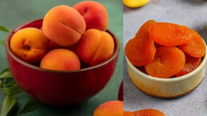 आ गया खुबानी का मौसम, जानें सेहत के लिए कितना फायदेमंद है ये सूखा ड्राई फ्रूट्स?