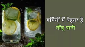 Lemonade in Summers: गर्मियों में इन वजहों से पिएं नींबू पानी, हाइड्रेट रहने के साथ ही बेहतर होगी इम्युनिटी