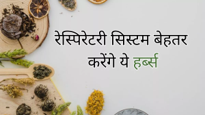 Air Pollution: बढ़ते प्रदूषण में स्वस्थ रखना चाहते हैं रेस्पिरेटरी सिस्टम, तो ये 5 जड़ी-बूटियां होंगी मददगार