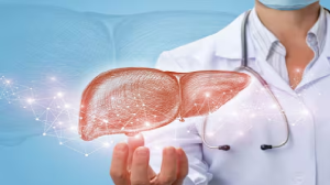 World Liver Day 2024: नॉन अल्कोहलिक फैटी लिवर डिजीज और कार्डियोवैस्कुलर रिस्क में क्या संबंध है? एक्सपर्ट से समझिए