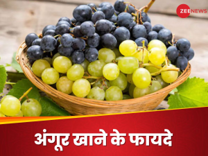 Grapes: सेहत का खजाना है हरे और काले अंगूर, न्यूट्रिशनिस्ट से जानिए इसे खाने के फायदे