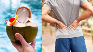 किडनी स्टोन के लिए बेहद फायदेमंद होता है Coconut Water, रोजाना पीने से मिलते हैं ये लाभ