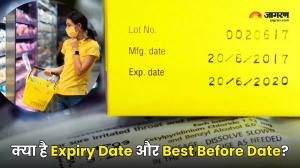 क्या एक ही होते हैं 'Best Before' और 'Expiry Date', FSSAI ने बताया इनके बीच का अंतर