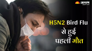 H5N2 Bird Flu से संक्रमित पहले व्यक्ति की मौत, जानें क्यों खतरनाक है यह वायरस